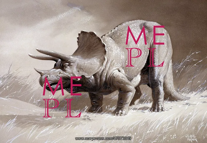 : Triceratops : Triceratops