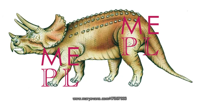 : Triceratops : Triceratops