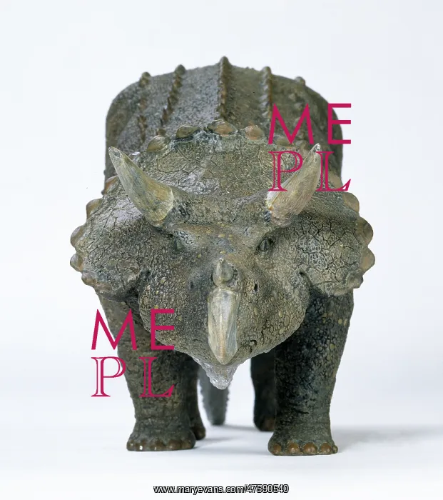  : Triceratops