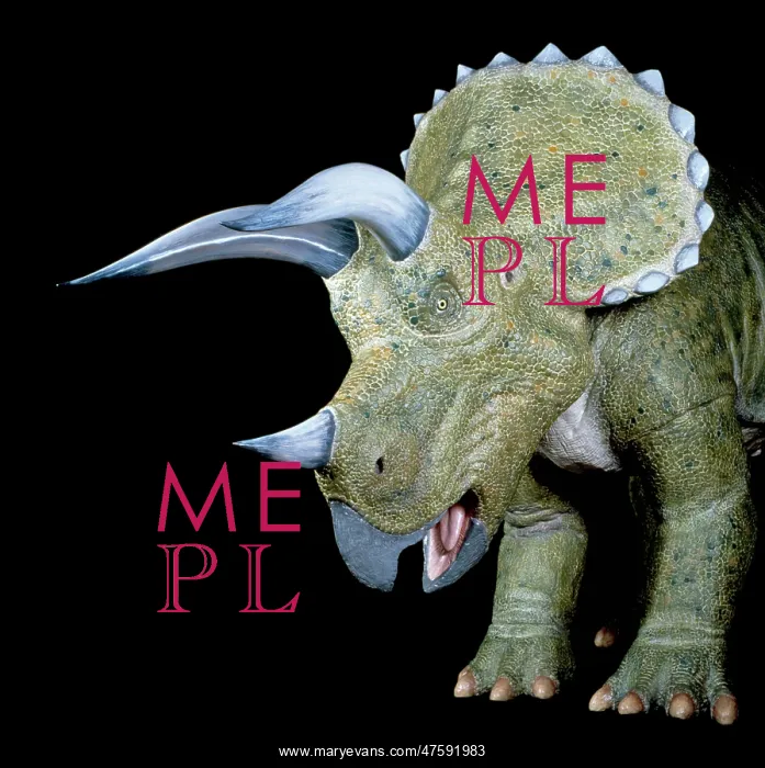 : Triceratops : Triceratops