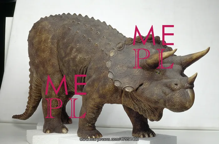 : Triceratops : Triceratops