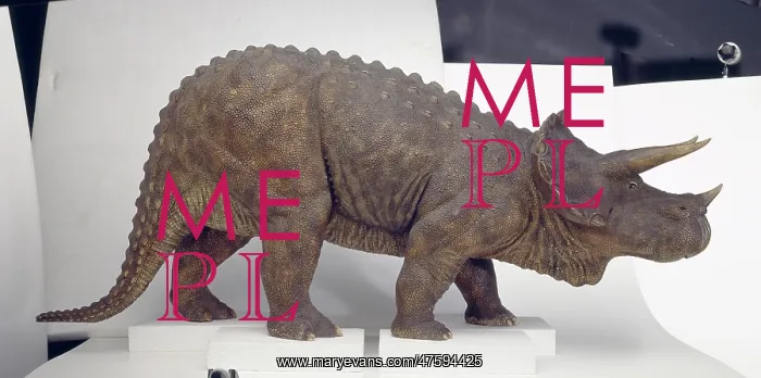 : Triceratops : Triceratops