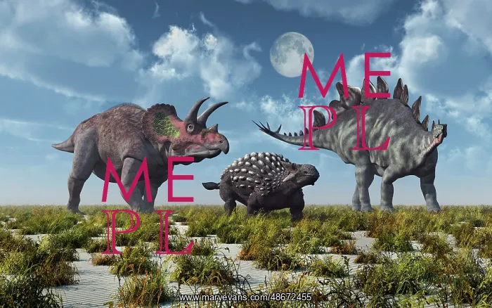 : A Triceratops, Ankylosaurus and Stegosaurus dinosaur : A Triceratops, Ankylosaurus and Stegosaurus dinosaur