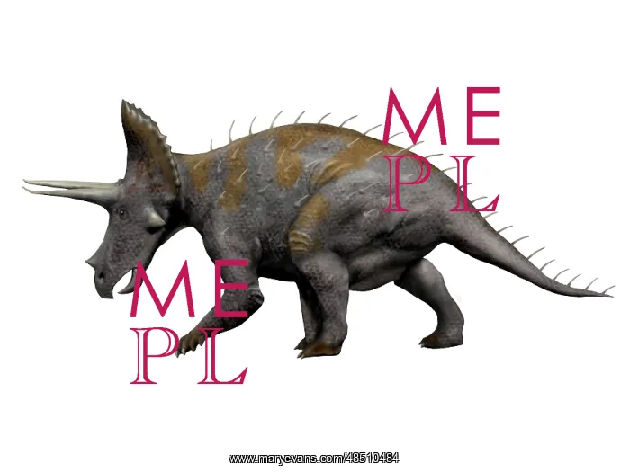 : Triceratops dinosaur : Triceratops dinosaur