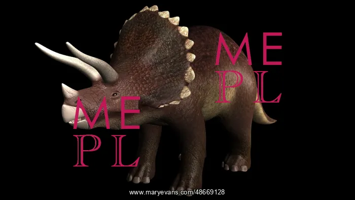 : Triceratops dinosaur : Triceratops dinosaur