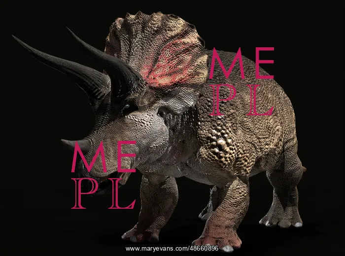 : Triceratops dinosaur on black background : Triceratops dinosaur on black background