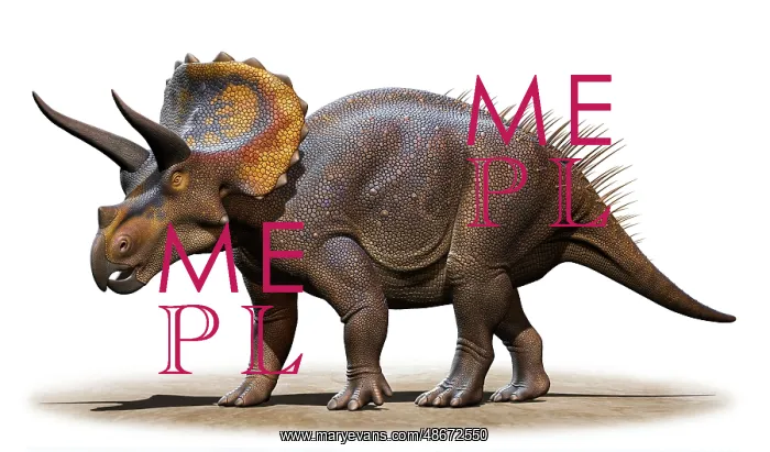 : Triceratops horridus isolated on a white background : Triceratops horridus isolated on a white background