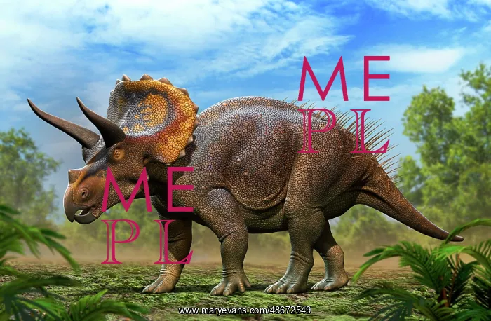 : Triceratops horridus walking in the forest : Triceratops horridus walking in the forest