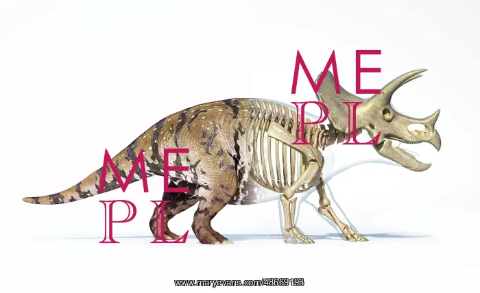 : Triceratops morphing from skin to skeleton, isolated : Triceratops morphing from skin to skeleton, isolated