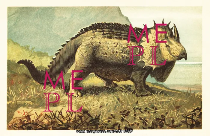: Triceratops prorsus, extinct herbivorous dinosaur : Triceratops prorsus, extinct herbivorous dinosaur