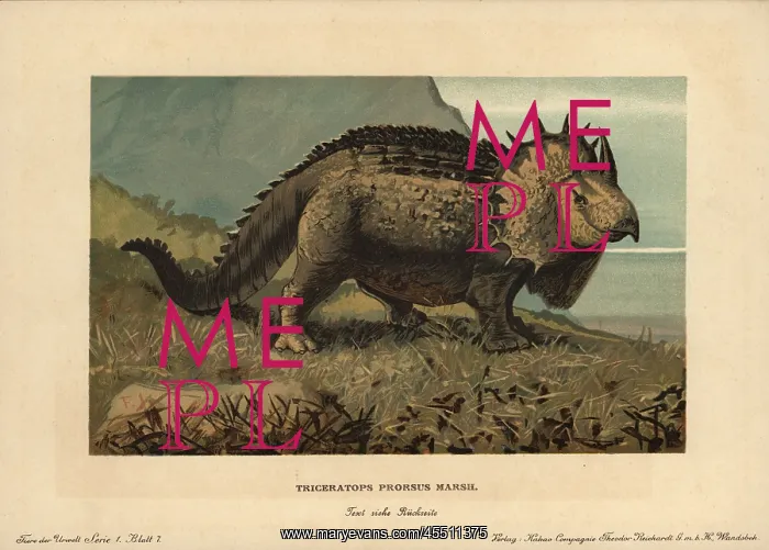 : Triceratops prorsus Marsh, extinct genus of : Triceratops prorsus Marsh, extinct genus of