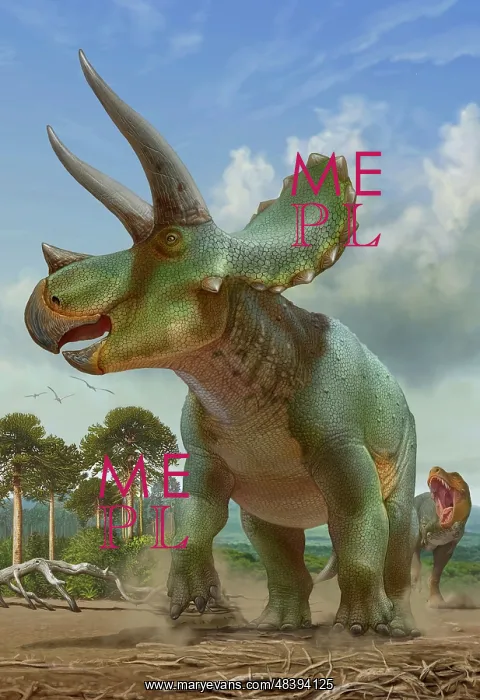 : Triceratops running away from a T-rex chasing after it : Triceratops running away from a T-rex chasing after it
