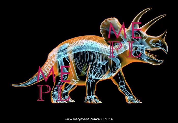 : Triceratops skeleton with x-ray effect. perspective : Triceratops skeleton with x-ray effect. perspective