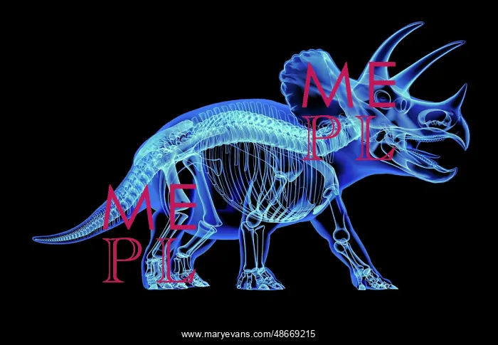 : Triceratops skeleton with x-ray effect. perspective : Triceratops skeleton with x-ray effect. perspective