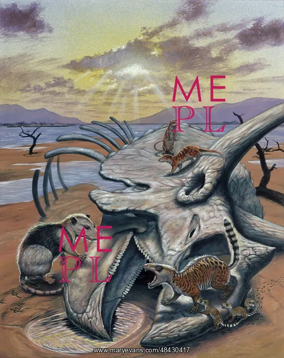 : Triceratops skull with early mammals : Triceratops skull with early mammals