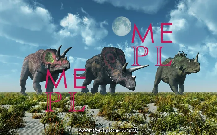 : A Triceratops, Torosaurus and Centrosaurus dinosaur : A Triceratops, Torosaurus and Centrosaurus dinosaur
