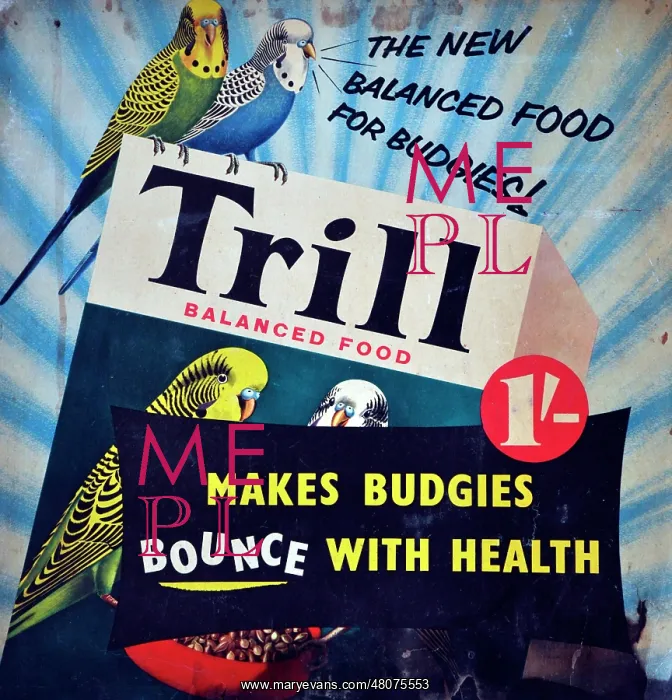 : Trill balanced food for budgies : Trill balanced food for budgies