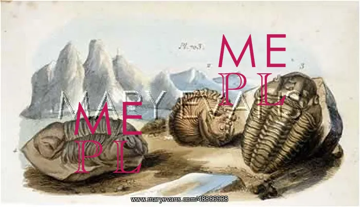  : TRILOBITES