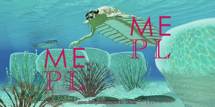 : Trilobites try to hide from predator Opabinia : Trilobites try to hide from predator Opabinia