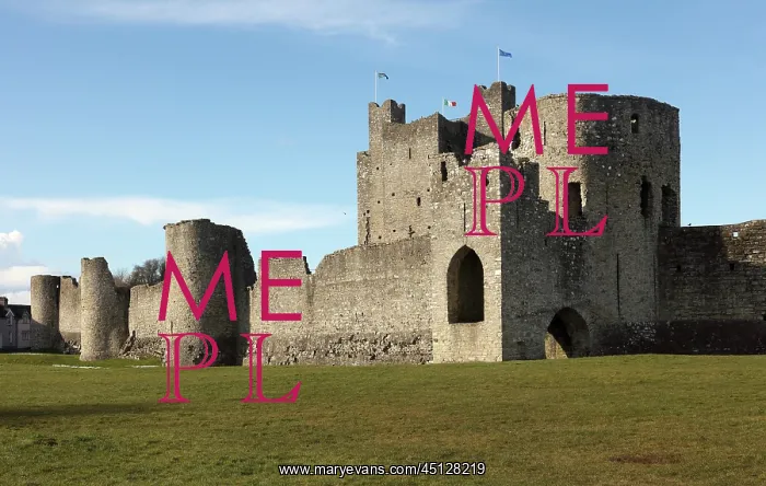 : Trim Castle, County Meath, Ireland : Trim Castle, County Meath, Ireland