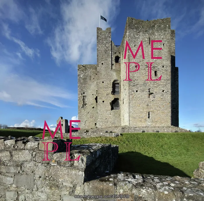 : Trim Castle, County Meath, Ireland : Trim Castle, County Meath, Ireland