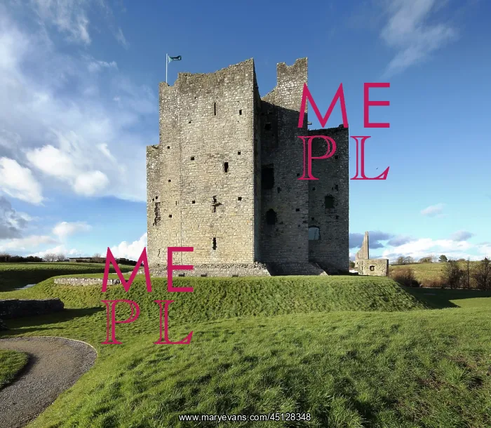 : Trim Castle, County Meath, Ireland : Trim Castle, County Meath, Ireland