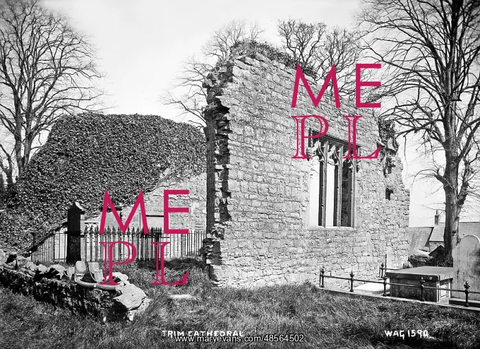 : Trim Cathedral : Trim Cathedral