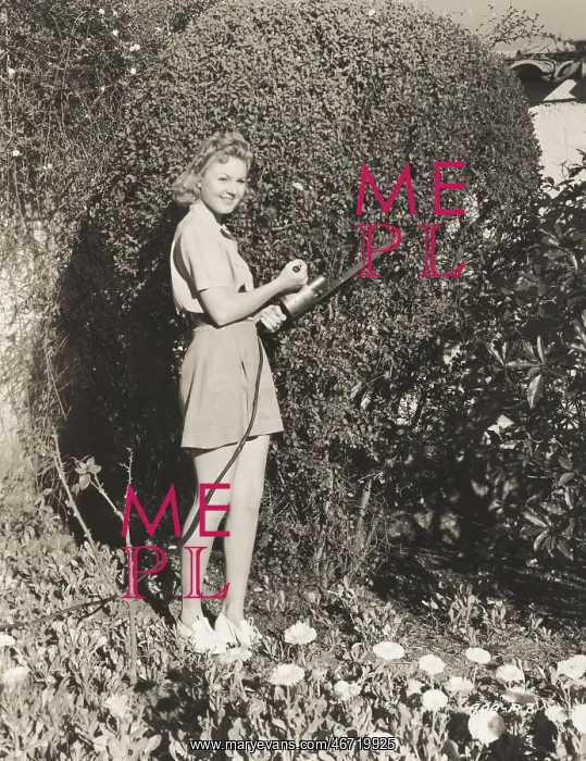  : Trimming the hedges