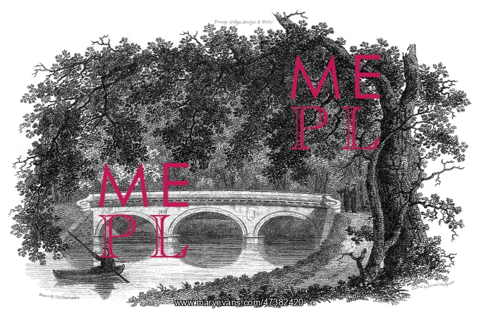 : TRINITY COLLEGE BRIDGE : TRINITY COLLEGE BRIDGE