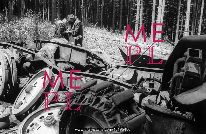 : Trip to the Harz Mountains 1948 : Trip to the Harz Mountains 1948