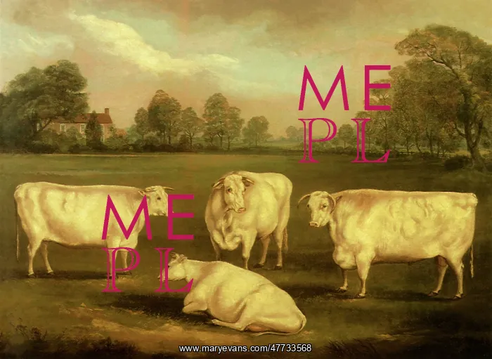  : Triplet Cows with Mother