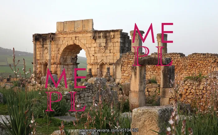 : Triumphal Arch of Caracalla, Volubilis, Meknes-Tafilalet : Triumphal Arch of Caracalla, Volubilis, Meknes-Tafilalet