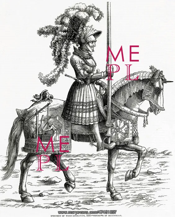  : Triumphs of Maximilian I