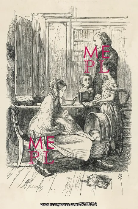 : TROLLOPE / FRAMLEY PARSON : TROLLOPE / FRAMLEY PARSON