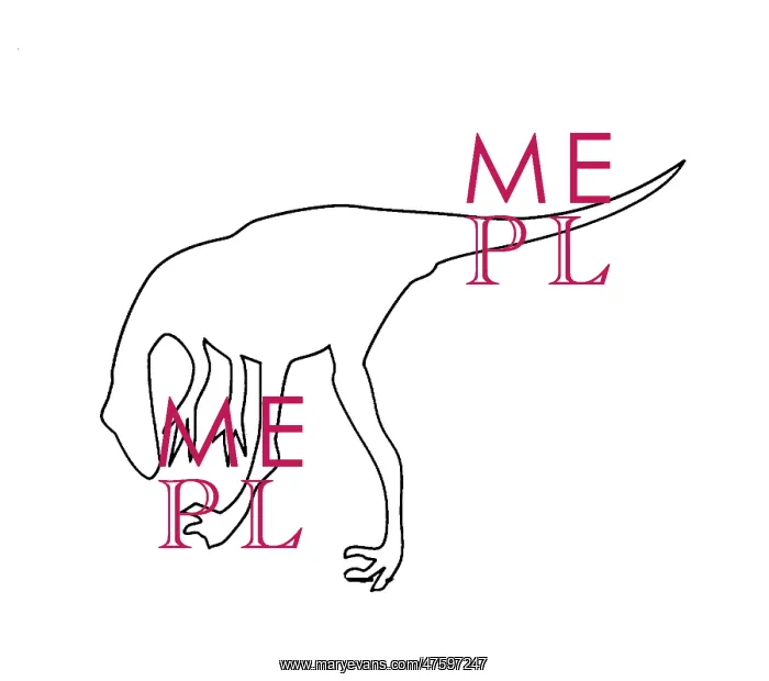 : Troodon. Outline illustration of a Troodon : Troodon. Outline illustration of a Troodon