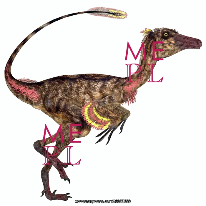 : Troodon bird-like dinosaur : Troodon bird-like dinosaur