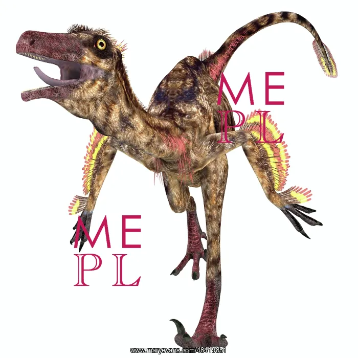 : Troodon bird-like dinosaur : Troodon bird-like dinosaur
