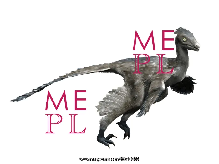 : Troodon dinosaur : Troodon dinosaur