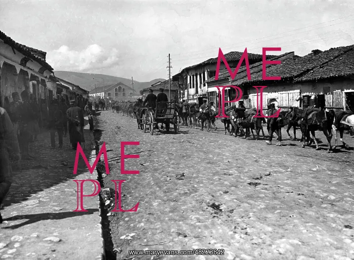 : Troop train on the way to the Balkan front, 1916 : Troop train on the way to the Balkan front, 1916