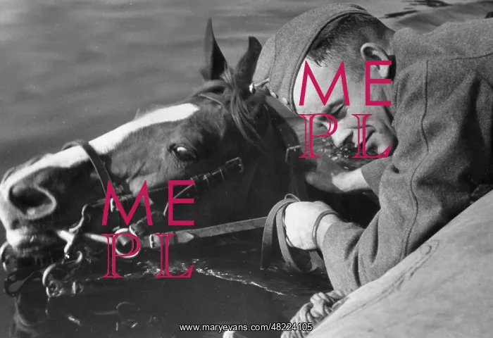 : Trooper of the Wehrmacht while crossing a river in the 3 : Trooper of the Wehrmacht while crossing a river in the 3