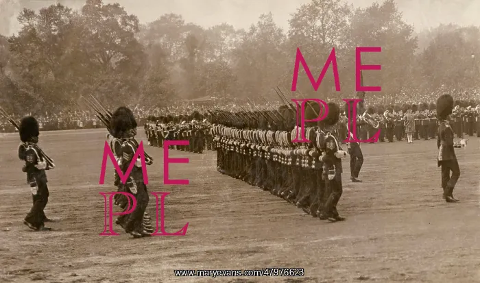 : Trooping the Colour on George V's Birthday : Trooping the Colour on George V's Birthday