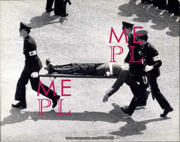 : Trooping of the Colour, guardsman carried off on stretcher : Trooping of the Colour, guardsman carried off on stretcher