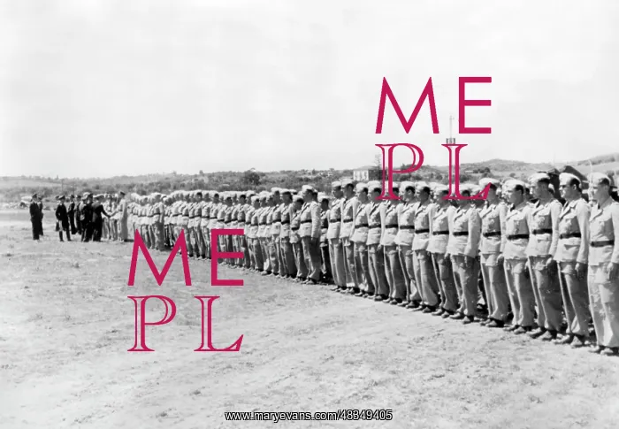 : Troops of the Afrika Korps, 1941 : Troops of the Afrika Korps, 1941