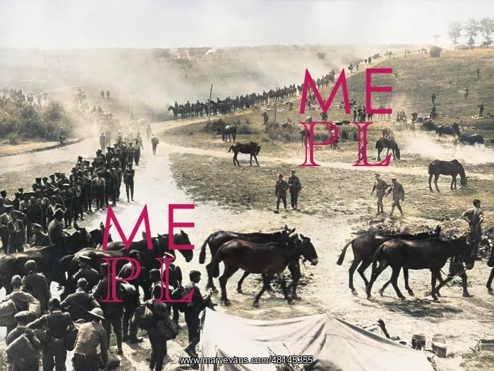 : Troops and animals getting ready to move out, WW1 : Troops and animals getting ready to move out, WW1