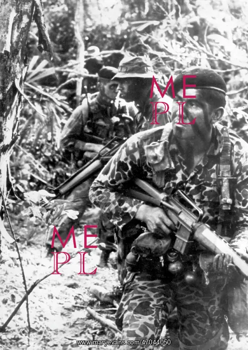 : US troops in jungle, Vietnam War : US troops in jungle, Vietnam War