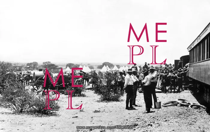 : Troops at a railhead unloading supplies, South Africa, WW1 : Troops at a railhead unloading supplies, South Africa, WW1