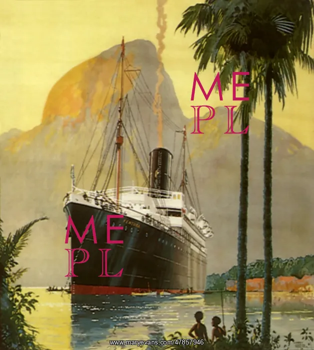  : Tropical Cruise