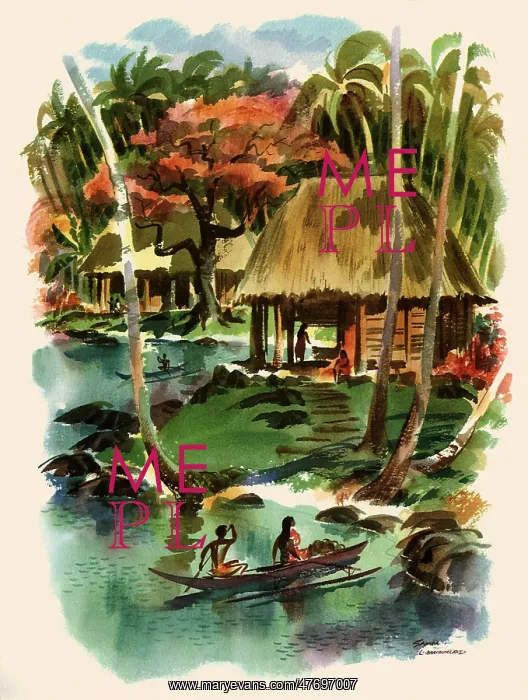 : Tropical Dwellings : Tropical Dwellings