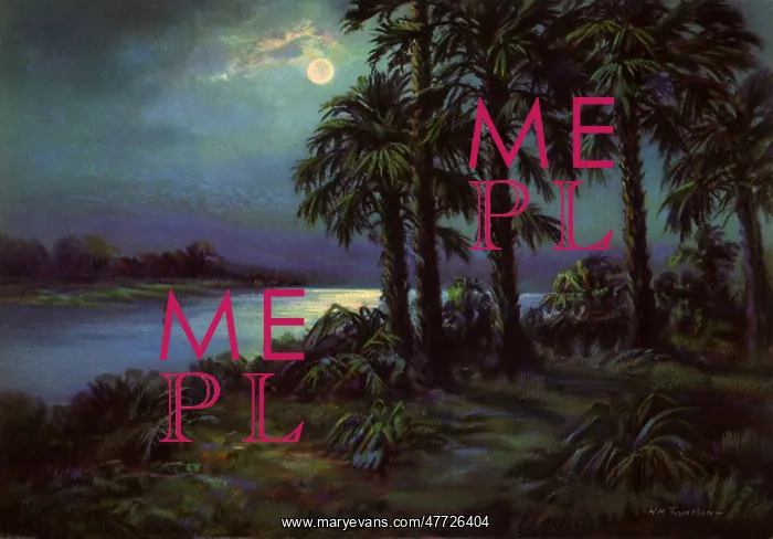  : Tropical Moon