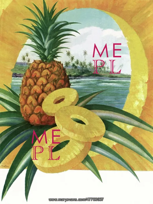 : Tropical Pineapple : Tropical Pineapple